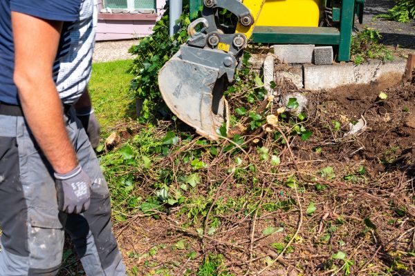 Hedge Removal Service in Rocky Mount