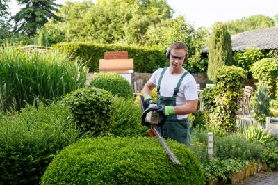 Shrub Trimming in Rocky Mount